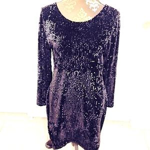 Loft Sequin Dress